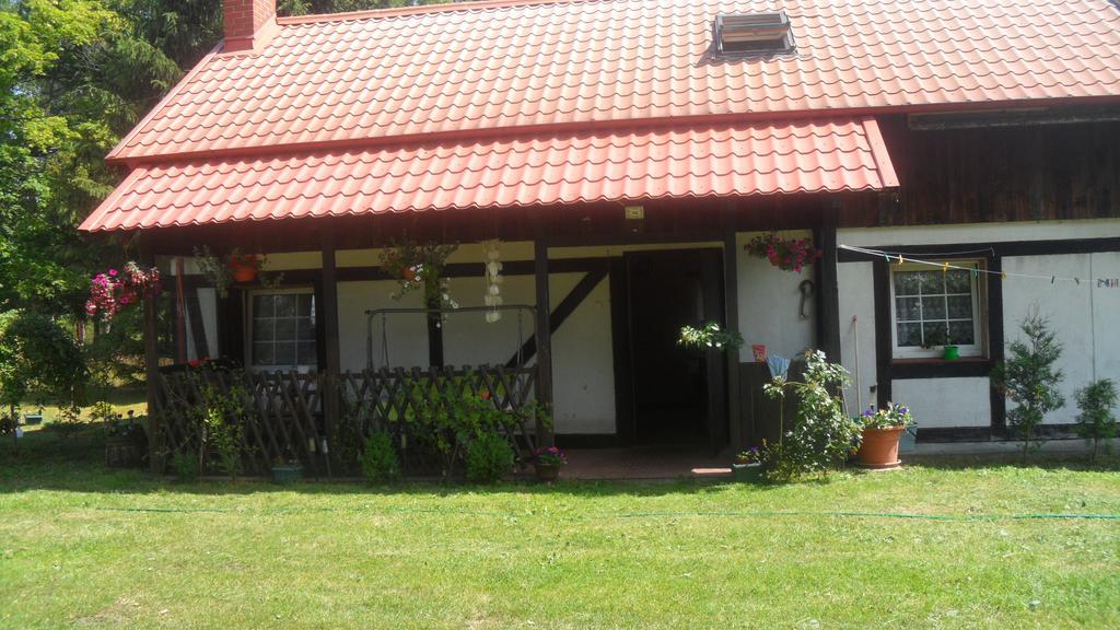 Agroturystyka Pod Debami W Klukach Smołdzino Exterior foto